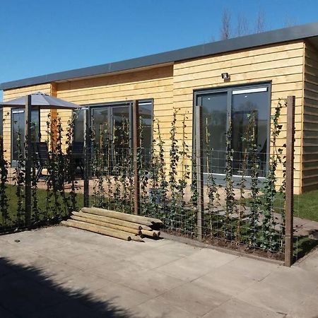 Luxe Vakantie Bungalow Met 3 Slaapkamers Dronrijp Luaran gambar